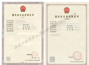 專業(yè)代辦總包、專業(yè)承包與勞務(wù)分包資質(zhì)全解析 一站式服務(wù)助力企業(yè)發(fā)展